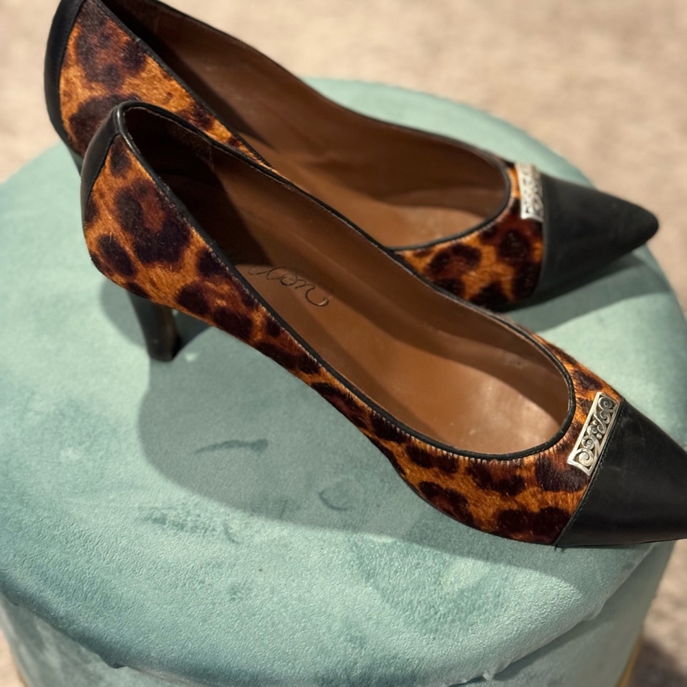 Brighton Pumps